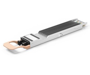 800G-QSFP-DD-MPO-100M