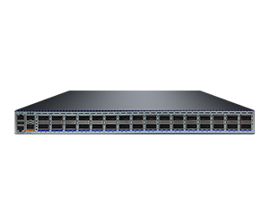 400G S6700-32CQ-丰润达 中文 300X250